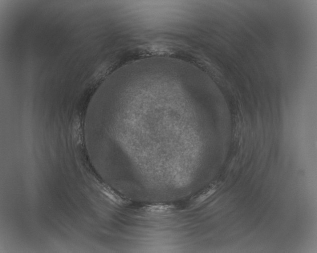 X0000054360465200508121518