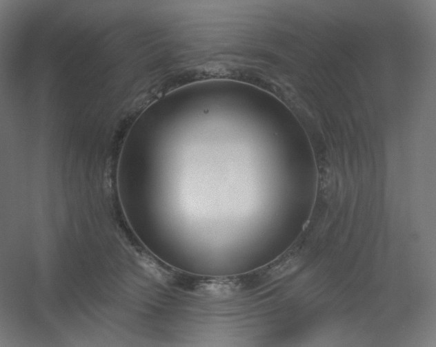 X0000054360466200508121518