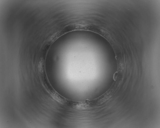 X0000054360468200508121519