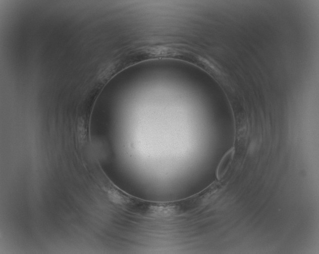 X0000054360469200508121519