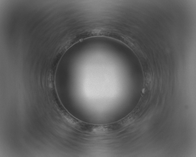 X0000054360470200508121519
