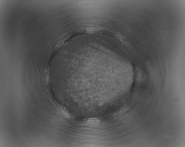 X0000054360471200508121519