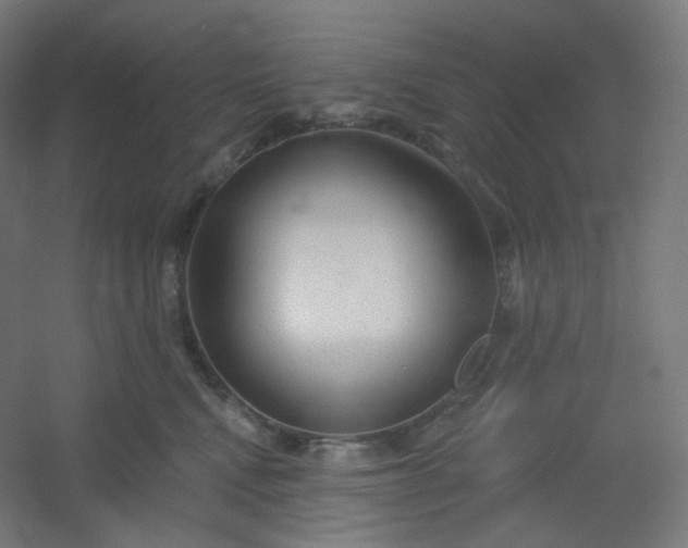 X0000054360472200508121519