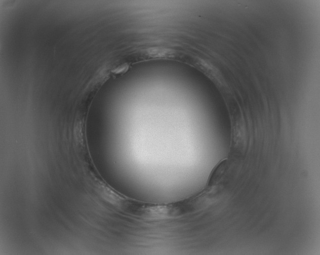 X0000054360473200508121519