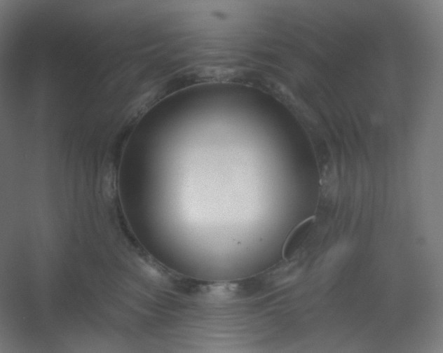 X0000054360474200508121519