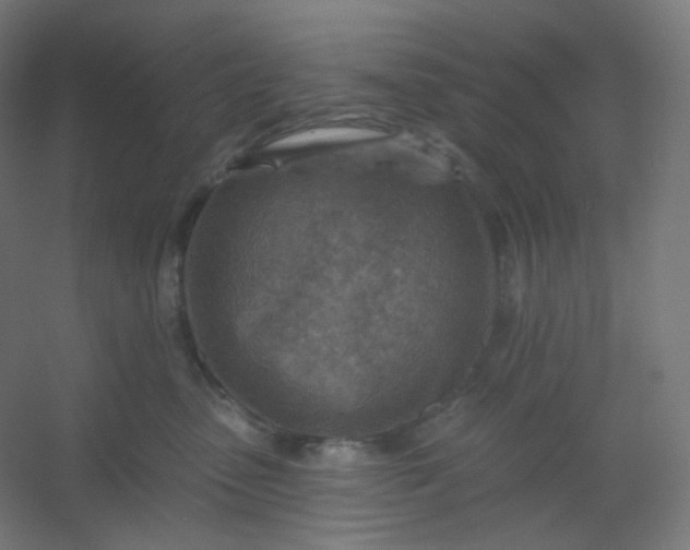 X0000054360475200508121519