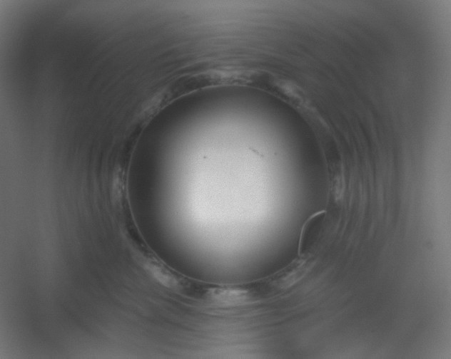 X0000054360476200508121519