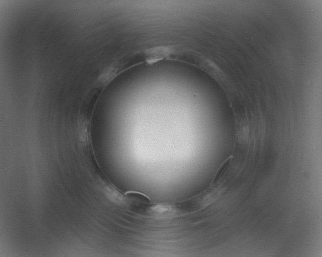 X0000054360477200508121519