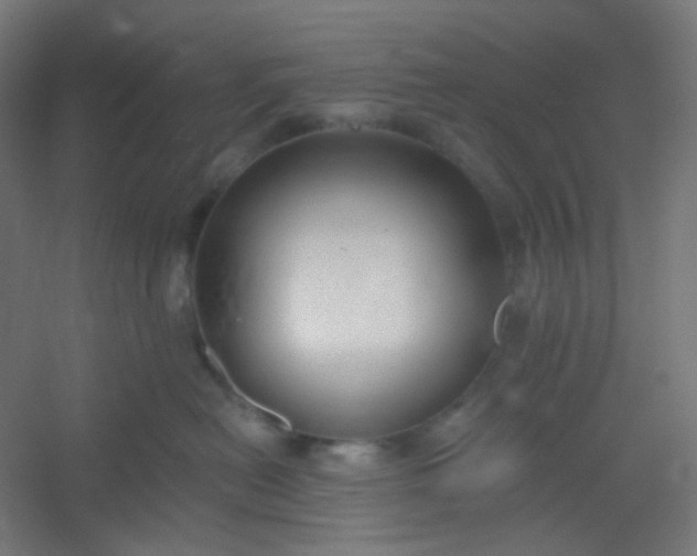 X0000054360478200508121519