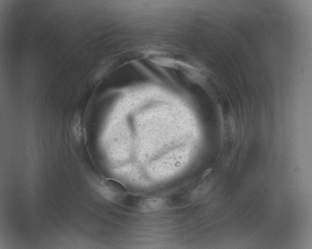 X0000054360479200508121519