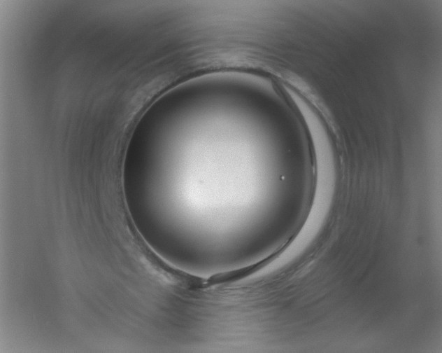 X0000054360481200508121518