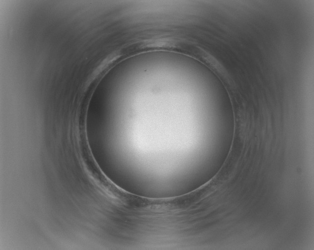 X0000054360482200508121518