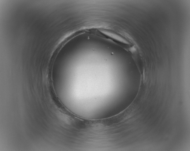 X0000054360483200508121518