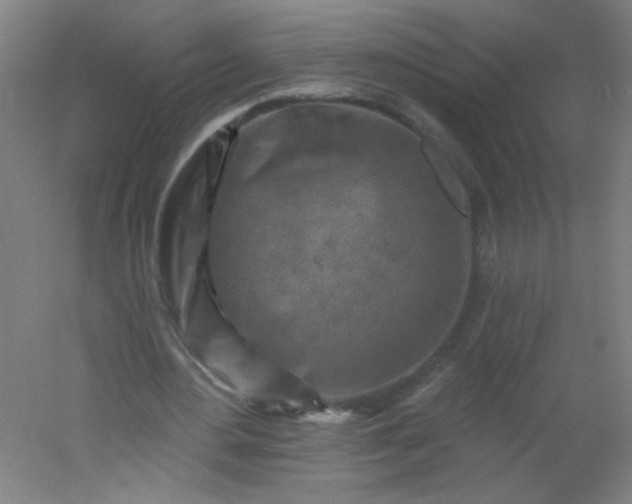 X0000054360484200508121518