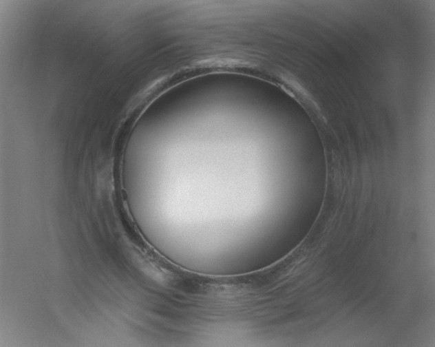 X0000054360486200508121518