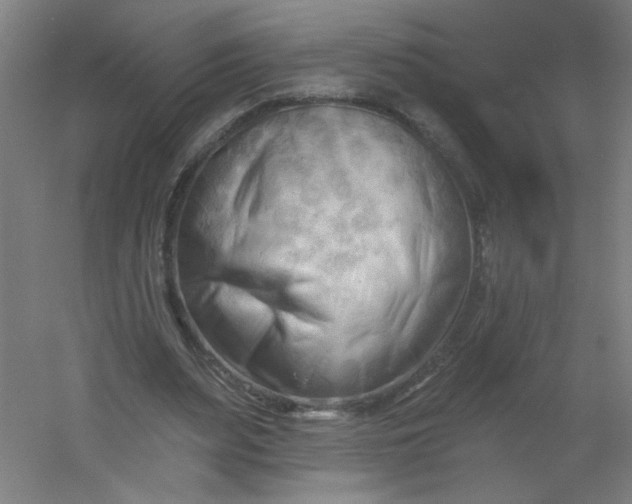 X0000054360487200508121518