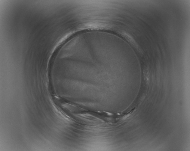 X0000054360488200508121518