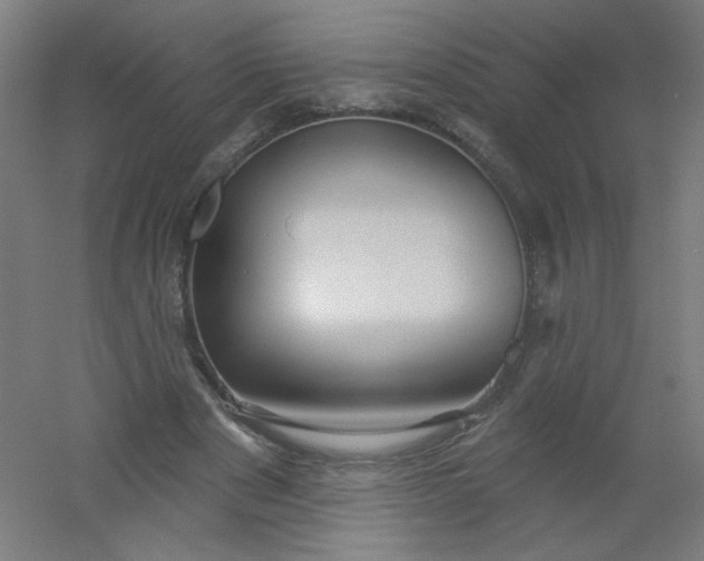 X0000054360489200508121518