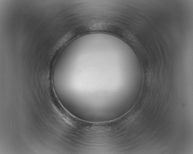 X0000054360490200508121518