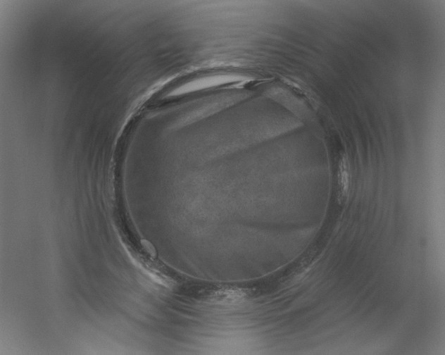 X0000054360492200508121518