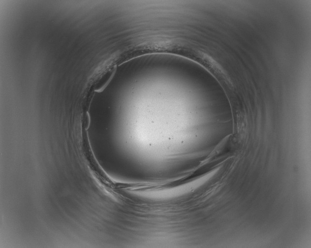 X0000054360493200508121518