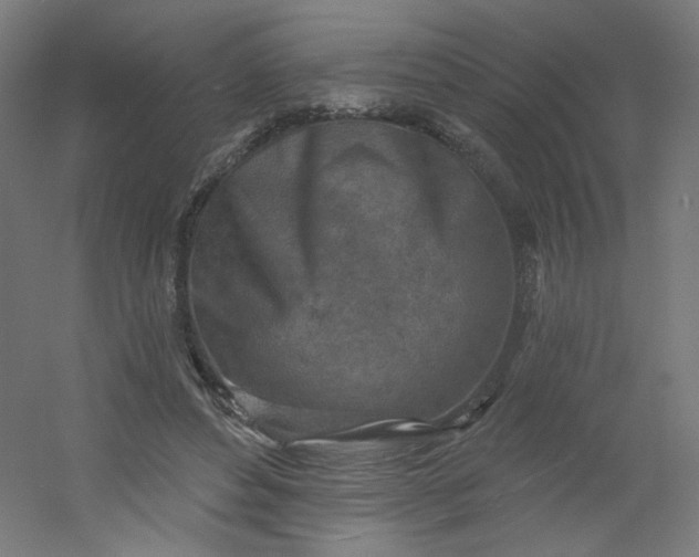 X0000054360496200508121518