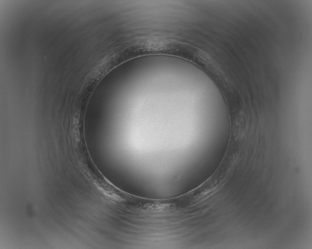 X0000054360497200508121518