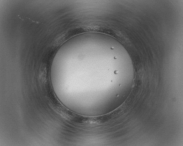 X0000054360498200508121518