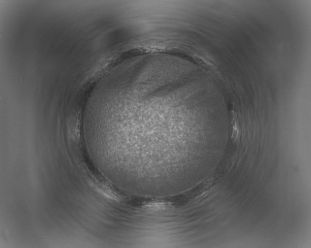 X0000054360499200508121518
