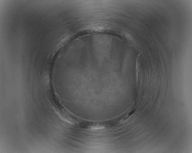 X0000054360500200508121518