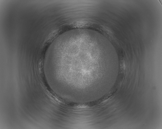 X0000054360503200508121518