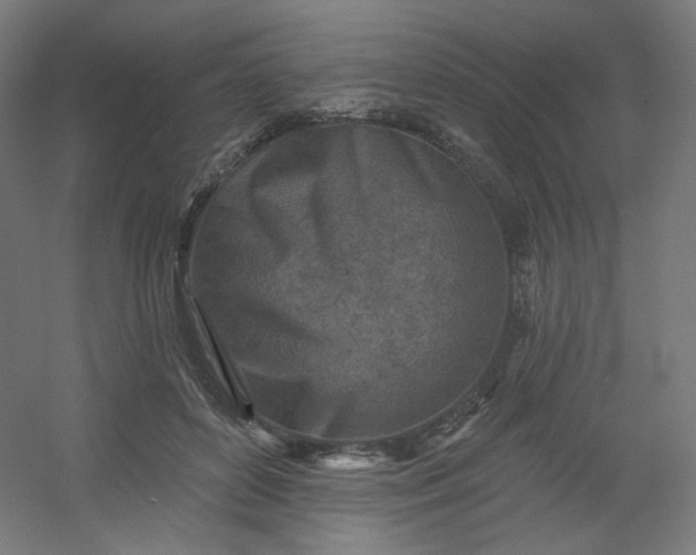 X0000054360504200508121518