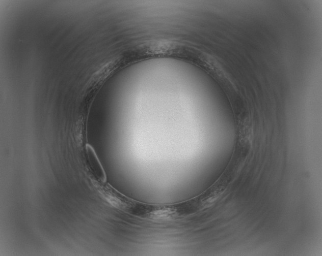 X0000054360505200508121517