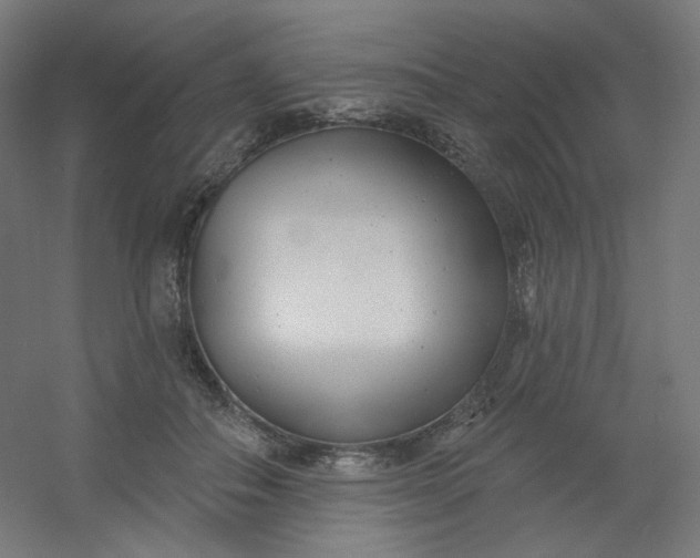 X0000054360506200508121517