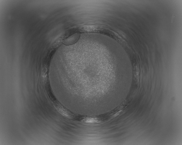 X0000054360507200508121517