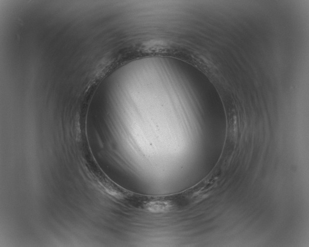 X0000054360508200508121517