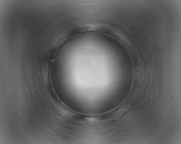 X0000054360509200508121517