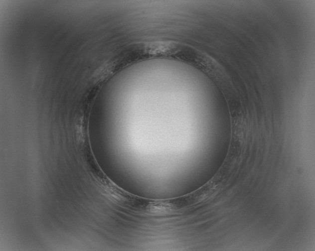 X0000054360510200508121517