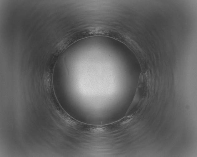 X0000054360513200508121517