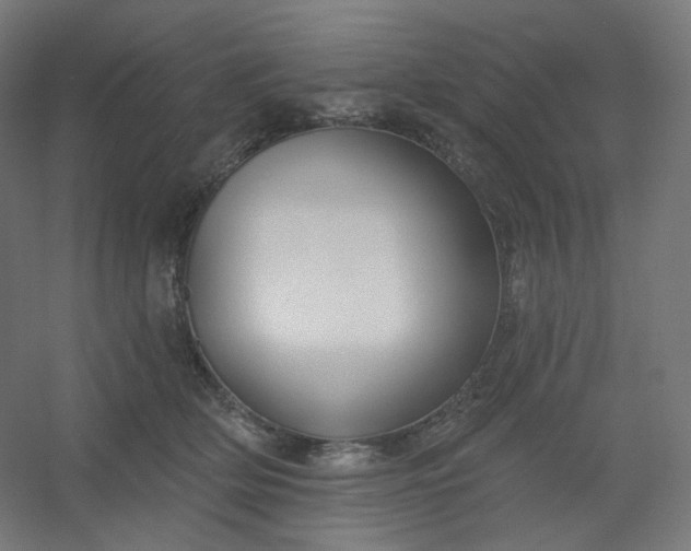 X0000054360514200508121517