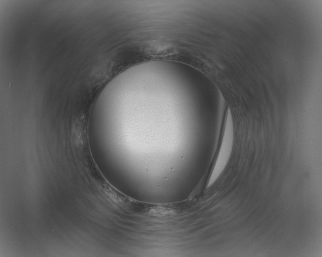 X0000054360515200508121517