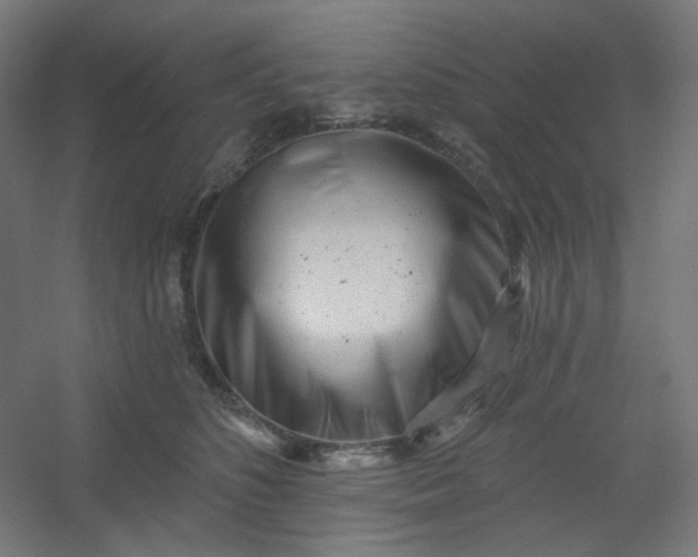 X0000054360516200508121517