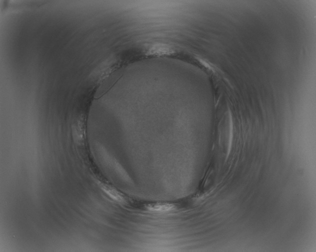 X0000054360517200508121517