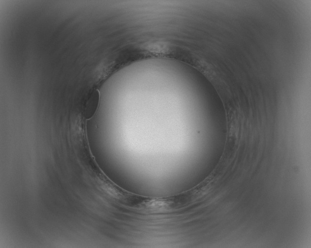 X0000054360518200508121517