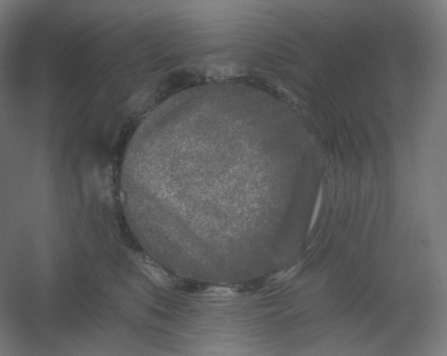 X0000054360519200508121517