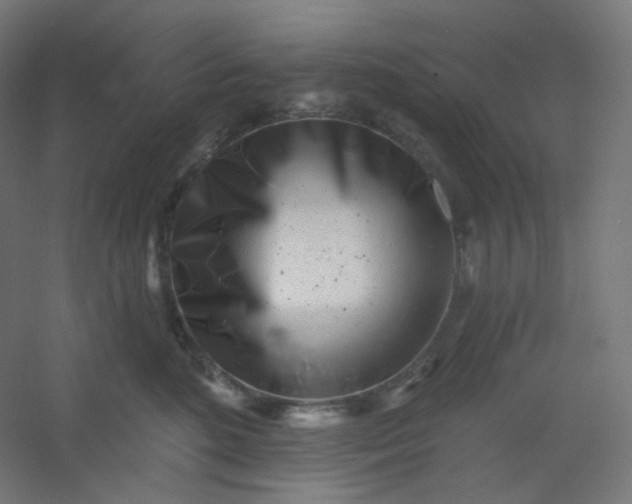 X0000054360520200508121517