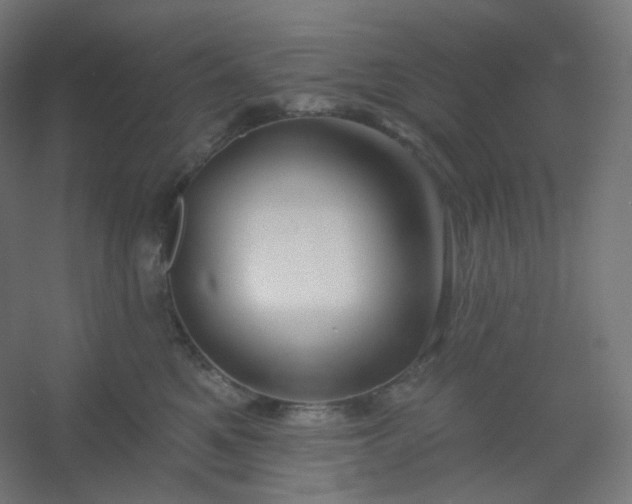 X0000054360521200508121517