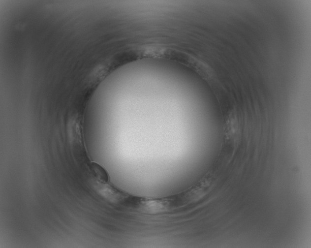 X0000054360522200508121517