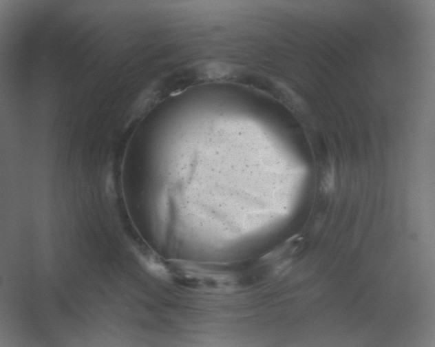 X0000054360524200508121517