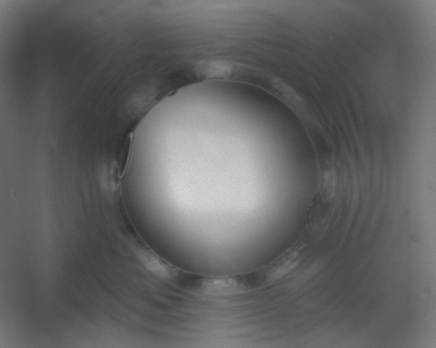 X0000054360525200508121517
